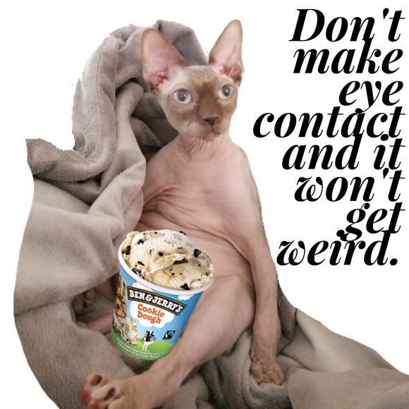 are you having your best day possible? - Picture 6 of 15